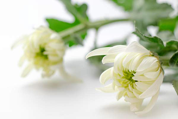 24時間 365日受付